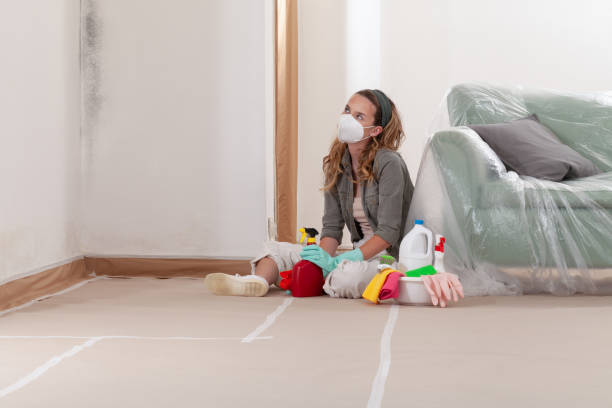 Reliable Commercial Mold Remediation contractor in Fort George G Meade, MD by WQB Mold Removal