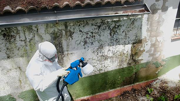 Top rated local Commercial Mold Remediation specialists in Fort George G Meade, MD